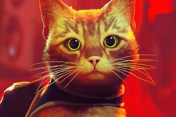 اخبار جذاب از بازی Stray و رایگان بودن آن برای برخی سطوح PS Plus