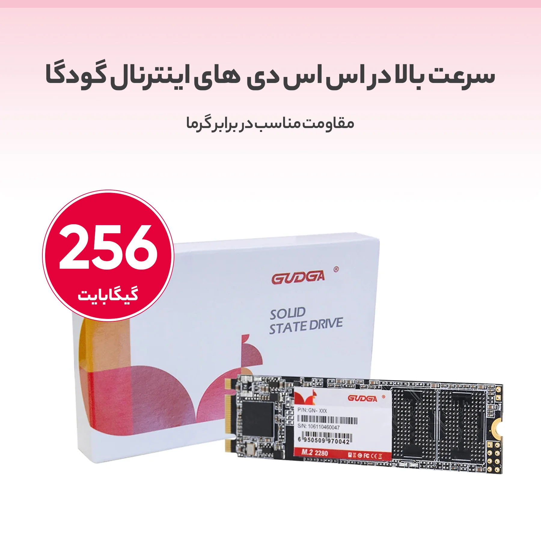 اس اس دی اینترنال گودگا مدل M.2_2280 ظرفیت 256 گیگابایت